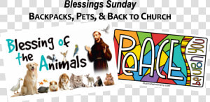 Https     s3   Amazonaws   Com dfc Sunday For Facebook   Animal  HD Png Download