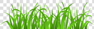 Grass Cover Png Clip Art   Clipart Grass  Transparent Png