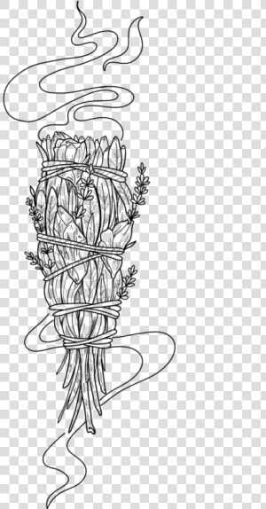 Smudge Stick   Line Art  HD Png Download