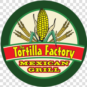 The Tortilla Factory Mexican Grill Logo   Tortilla Factory Boise  HD Png Download