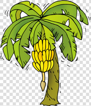 Banana Tree Cartoon Png   Png Download   Banana Tree Clipart Png  Transparent Png