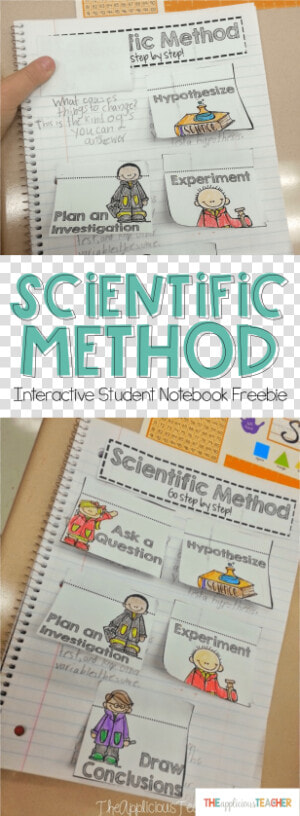 Transparent Scientific Method Png   Cartoon  Png Download