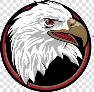 Bridgewater College Eagles  HD Png Download