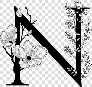 A Mad Pursuit   Letter N Flower Drawing  HD Png Download