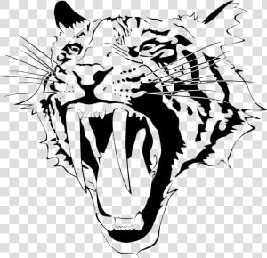 Transparent Saber Tooth Tiger Png   Saber Tooth Tiger Drawing  Png Download