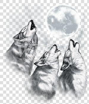 3 Wolves Howling At The Moon   Wolves Howling At The Moon Drawings  HD Png Download