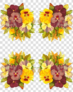 Alstroemeriaceae  HD Png Download