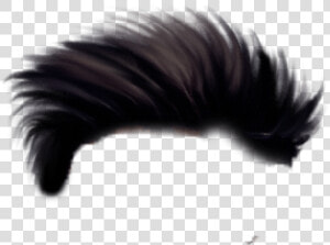 Best Hair Png For Editing   Hair Style For Editing  Transparent Png