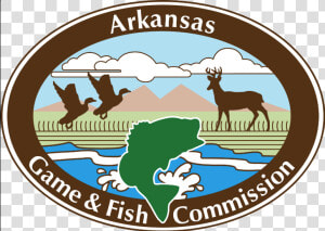 Public Duck Hunting In Ne Arkansas   Arkansas Game And Fish Commission  HD Png Download