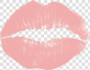  labios  rosados  lindos  germosos   Png Banner Tumblr Png  Transparent Png