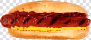 Foster’s Famous Grilled Hot Dog   Grilled Hot Dog Png  Transparent Png