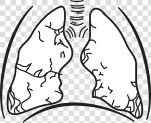 Tuberculosis Clipart Black And White  HD Png Download