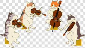 Quartet  Cat  Violin  Cello  Viola  Stage  Music   String Instrument  HD Png Download