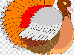 Turkey Bird Clipart Cornucopia   Clipart Turkey Png  Transparent Png