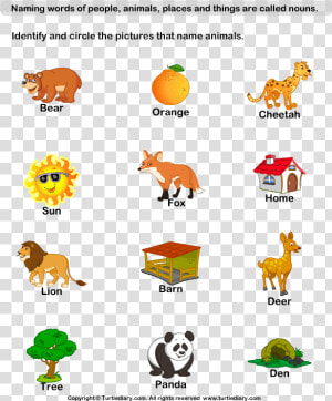 Of Example X Letter Adjectives Naming Animal Diary   Naming Words For Things  HD Png Download