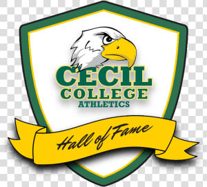 Cecil College Athletics Hall Of Fame Class Img Responsive   Cecil College  HD Png Download