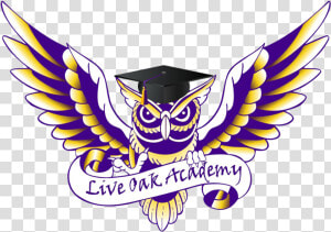 Live Oak Academy Kyle Tx Mascot  HD Png Download