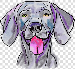 Weimaraner Sticker  HD Png Download