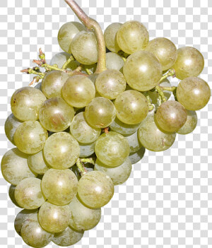 Wine Grapes Free Fruit Delicious Free Photo   Grape  HD Png Download