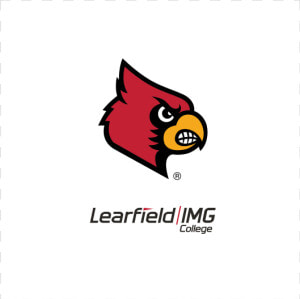 Louisville Cardinals Baseball Logo  HD Png Download