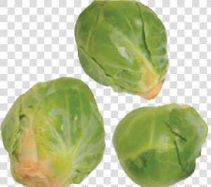 Brussels Sprout  HD Png Download