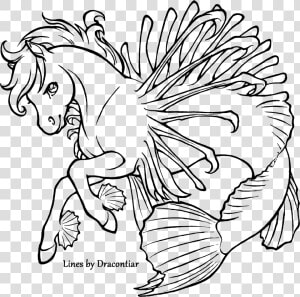 Lionfish Coloring Page   Coloring Page Lion Fish  HD Png Download