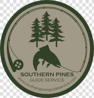 Image33   Colorado Spruce  HD Png Download