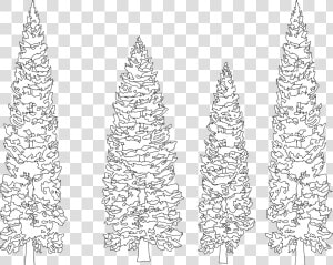 Pine Tree Clip Art Black And White   White Pine Tree Vector Png  Transparent Png