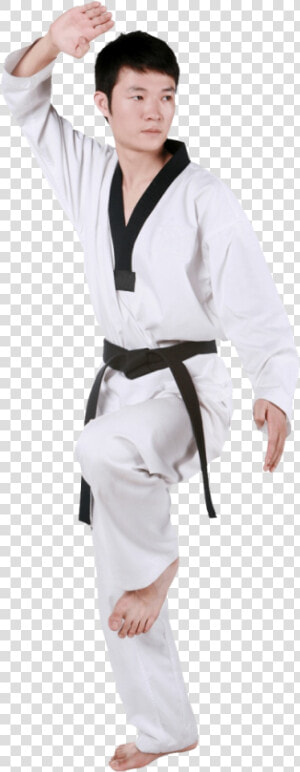 Taekwondo Wtf Foto Png  Transparent Png