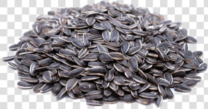 Sunflower Seeds Transparent Image   Sunflower Seeds Transparent Background  HD Png Download