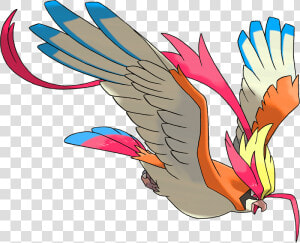 Mega Pidgeot  HD Png Download