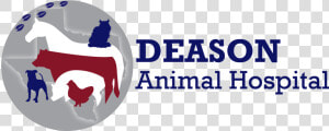 Stevens  Veterinarian At Deason Animal Hospital In   Graphic Design  HD Png Download