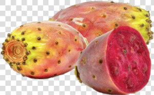 Prickly Pear Cactus Fruit   Morocco Prickly Pear Oil  HD Png Download