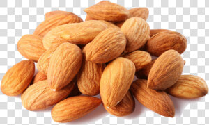 Almond Png   Transparent Almonds Png  Png Download