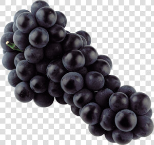 Grapes  Isolated Blue Grape Transparent Png Stickpng   Black Grapes Png  Png Download