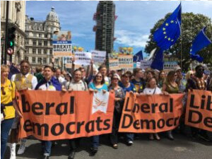 Libdems At Brexit March   Roller Coaster  HD Png Download