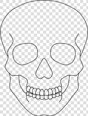 Clipart Skull Basic   Simple Human Skull Drawing  HD Png Download