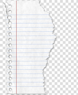 Home     Ben amp david   Torn Lined Paper Png  Transparent Png