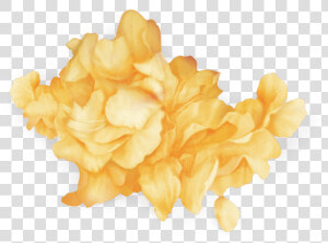 Flowers  Png  And Yellow Image   Wild Troye Sivan Png  Transparent Png