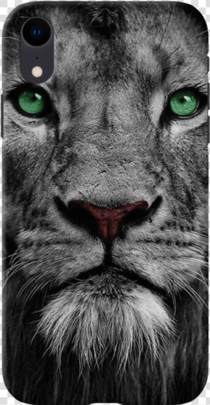 Lion Face Case Cover For Iphone Xr   Black And White Photo Of Lions  HD Png Download