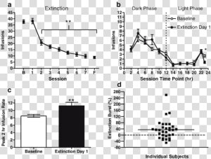 Mouse Antibody Subcutaneous Injection Receptor Occupancy  HD Png Download