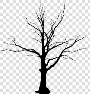 Tree Vector Png Images   Tree Without Leaves Png  Transparent Png