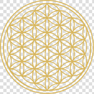 Flower Of Life   Flower Of Life Large  HD Png Download