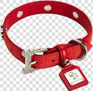 Dog Collar Png Photo   Dog Collar Png  Transparent Png