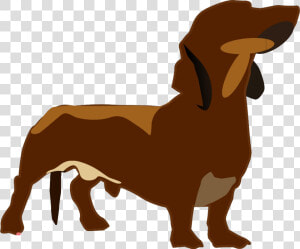 Dachshund Png   Dachshund  Transparent Png