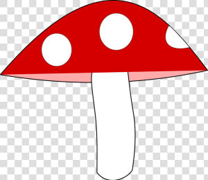 Mushroom Agaric Forest Free Picture   Muchotrávka Png  Transparent Png