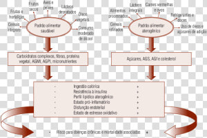 Causas Da Obesidade  HD Png Download