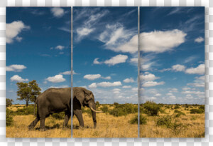 Triptych Elephant Sky   Indian Elephant  HD Png Download