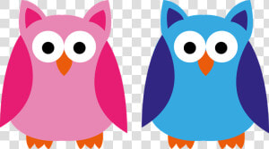 Owl  Blue  Pink  Boy  Girl  Application  Forest Animal   Meme Menina Veste Rosa  HD Png Download