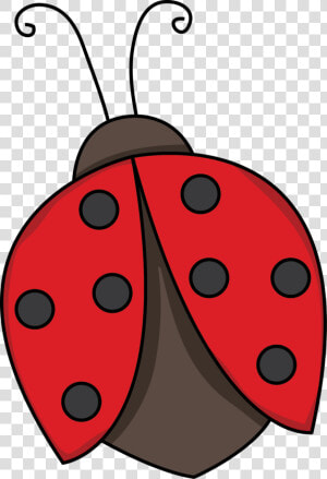 Red Ladybug Png Photo   Clip Art Lady Bug  Transparent Png